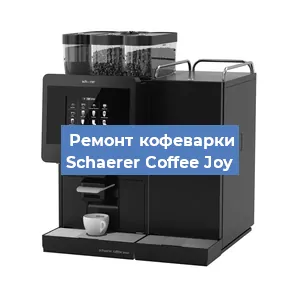 Чистка кофемашины Schaerer Coffee Joy от кофейных масел в Москве